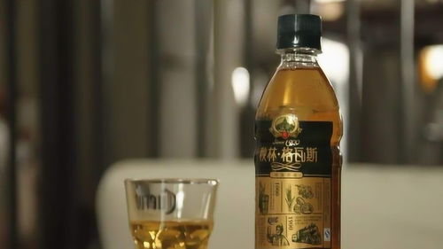 盘点5大最难喝的酒精饮料（含脱醇酒），喝过3个以上的你还好吗？